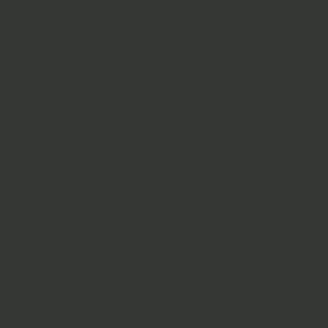 Peinture couleur : Air "Vert Olive" - PRINCE AUGUST P007 / VALLEJO 71.007